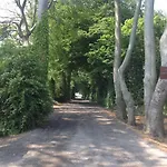 Arden * دروغيدا
