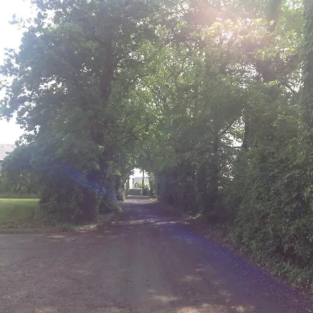 Arden Oda ve Kahvaltı