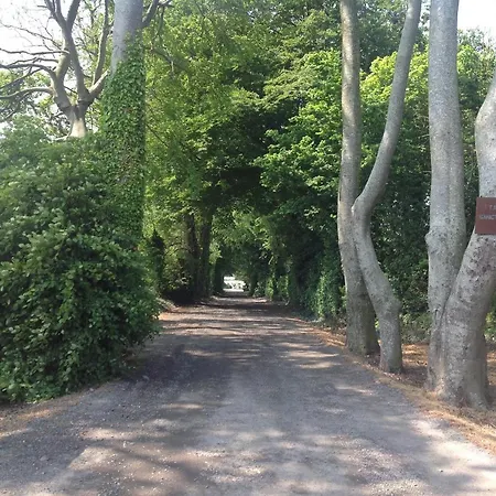 Arden * דרוגדה