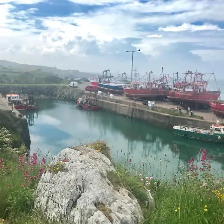 Panzió Arden Drogheda