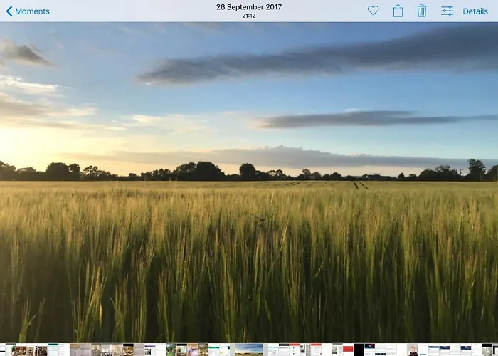 Arden Отель типа 