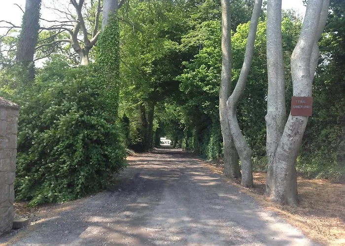 Arden * Дроэда